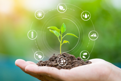 Fernando Trabach Filho