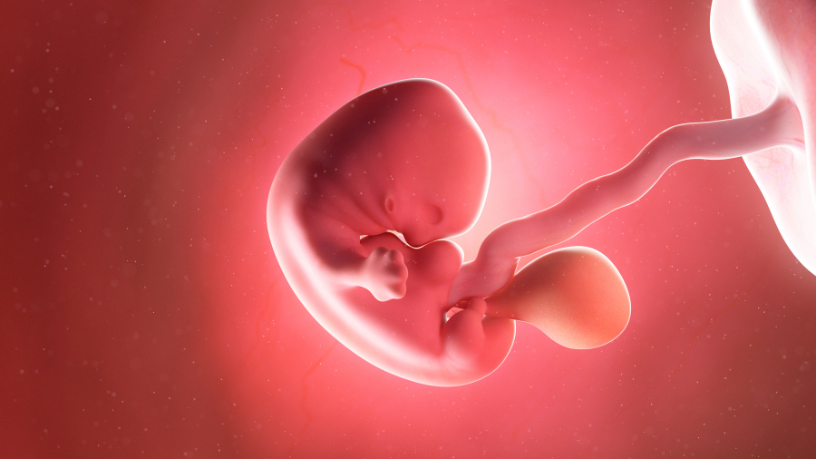Dra. Thaline Neves explica como o diagnóstico precoce e o tratamento adequado da hidropsia fetal podem salvar vidas.