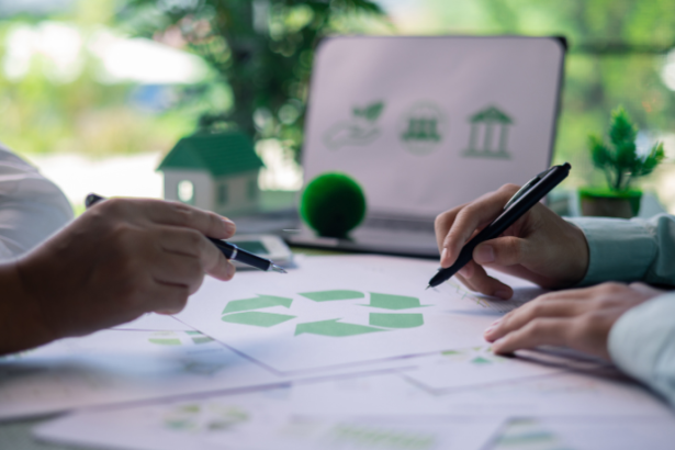 Renato de Castro Longo Furtado Vianna